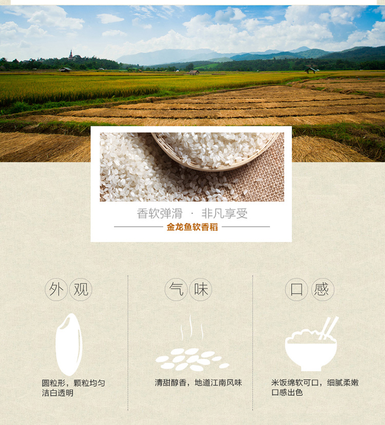 金龙鱼苏北大米软香稻10kg