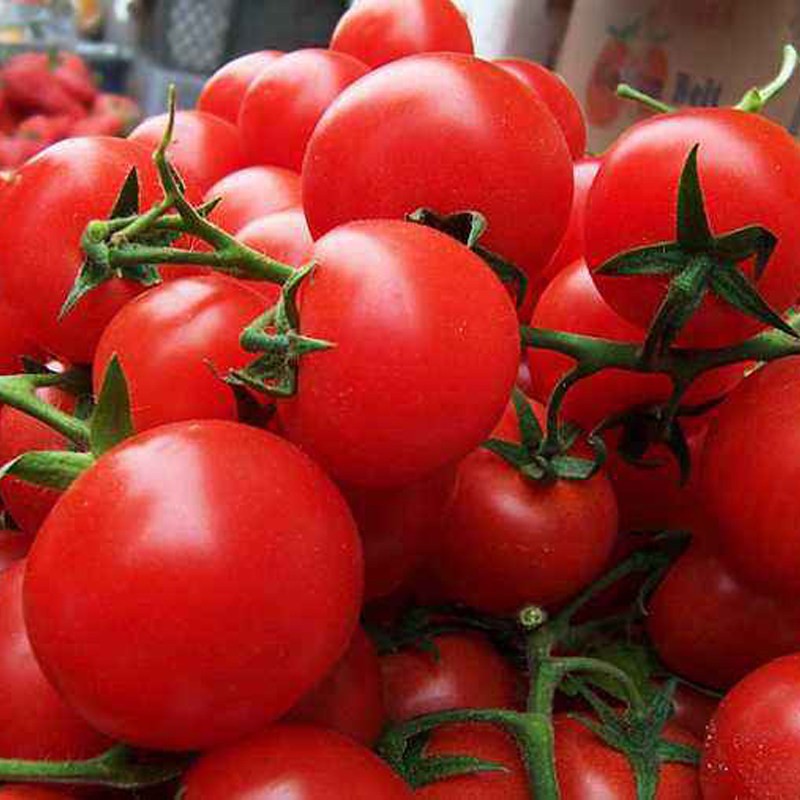 【上海发】串红番茄1kg 西红柿 新鲜蔬菜