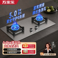 万家乐燃气灶[双高火H5PRO(G)]立体全进风灶 5.0kW大火力不锈钢猛火灶台 液化气