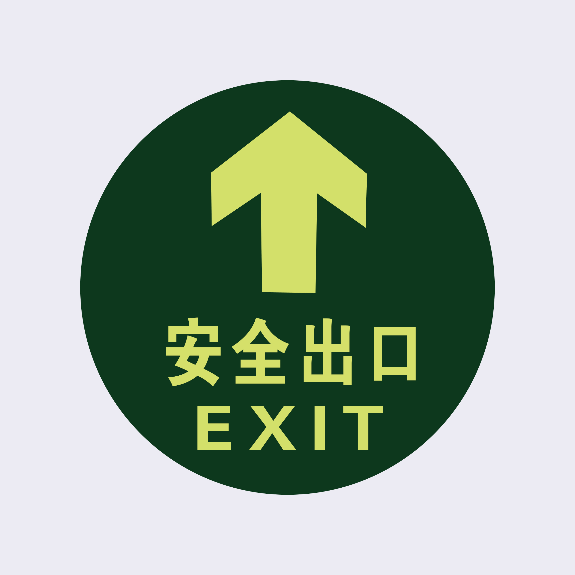 oloey生活日用 oloey 经济型自发光地贴(安全出口 圆形)10片装 自发光