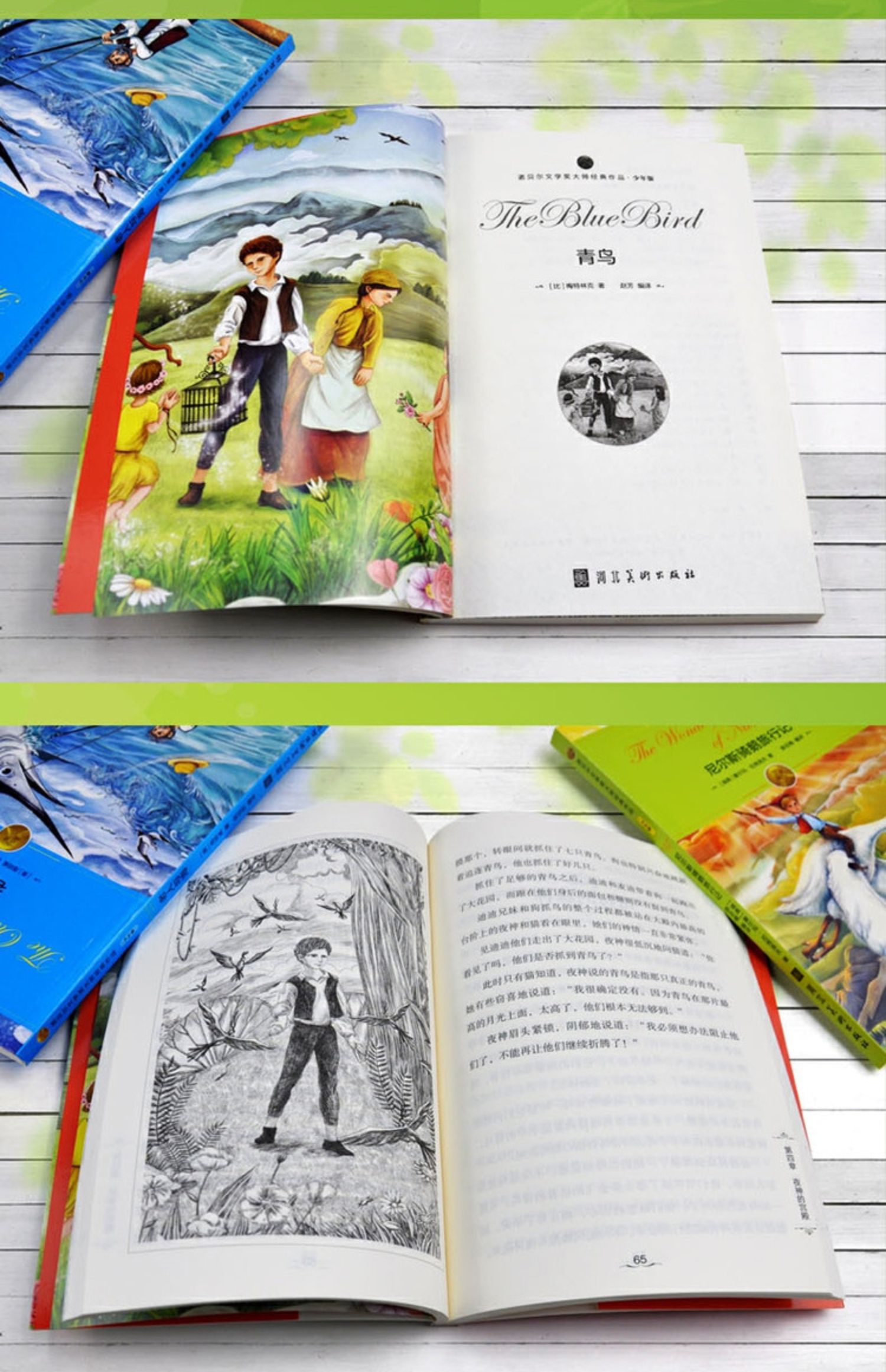 [颜系图书]青鸟书正版四年级课外书必读诺贝尔文学奖大师经典作品小