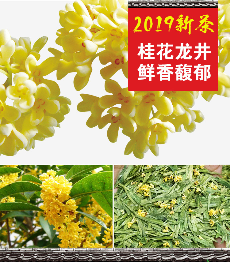 億龍源綠茶 新茶綠茶 杭州幹桂花茶 龍井茶 明前龍井茶125g 罐裝