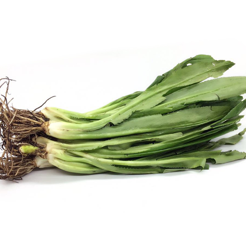 刺芹芫荽1斤香菜泰国香菜刺芫茜新鲜蔬菜产发