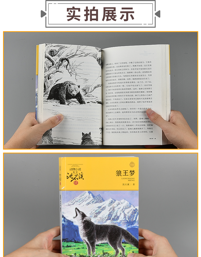 惠典正版狼王梦沈石溪动物小说大王品藏书系无删减版