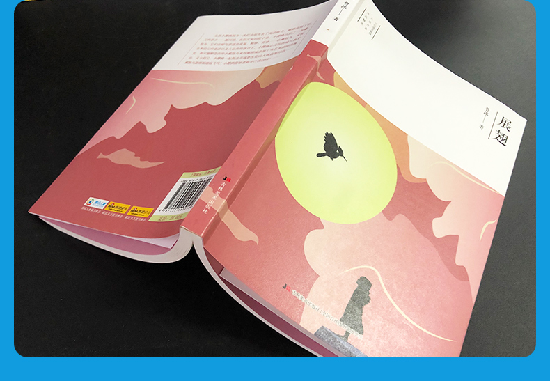 鹏辰正版2020年寒假阅读书籍展翅鲁冰1012岁阅读书目吉林美术出版社l