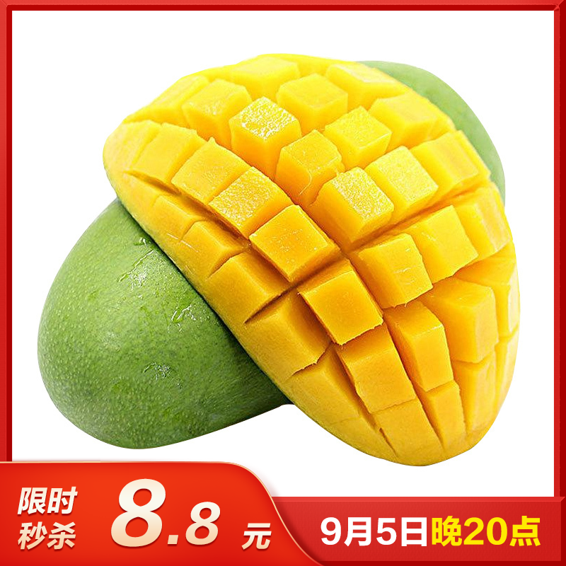 [熊猫鸟]精选攀枝花凯特芒 5斤 大果 单果400g左右 当季新鲜 热带水果