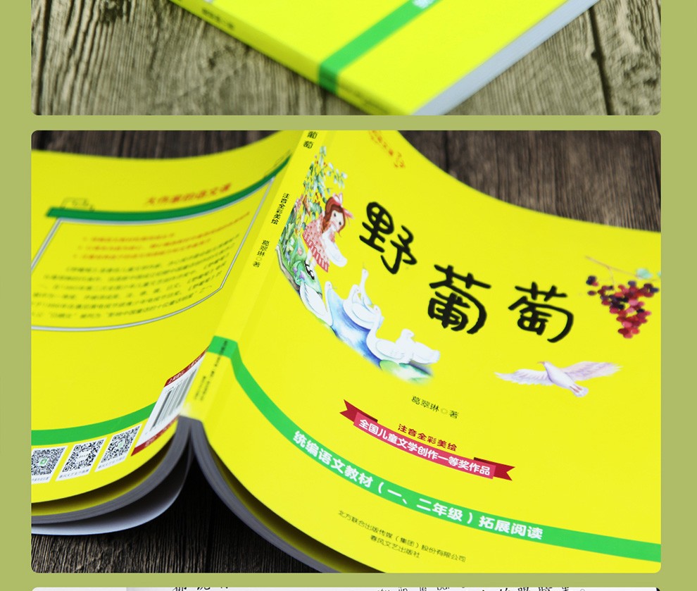 大作家的语文课野葡萄葛翠琳注音全彩美绘版语文教材课外拓展阅读书目