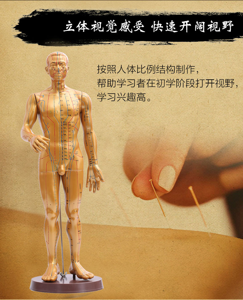 优选针灸人体经络血穴位教学模型中医全身铜人小按摩硅胶模特
