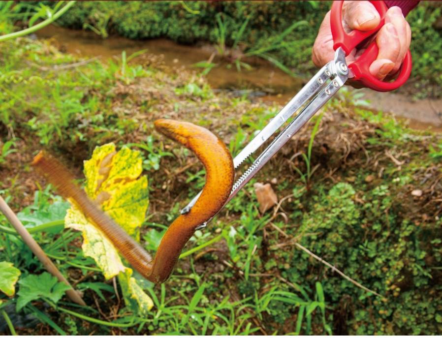 黃鱔夾鱔魚鉗垃圾夾泥鰍螃蟹夾子鉗子防滑夾魚神器捉魚器工具