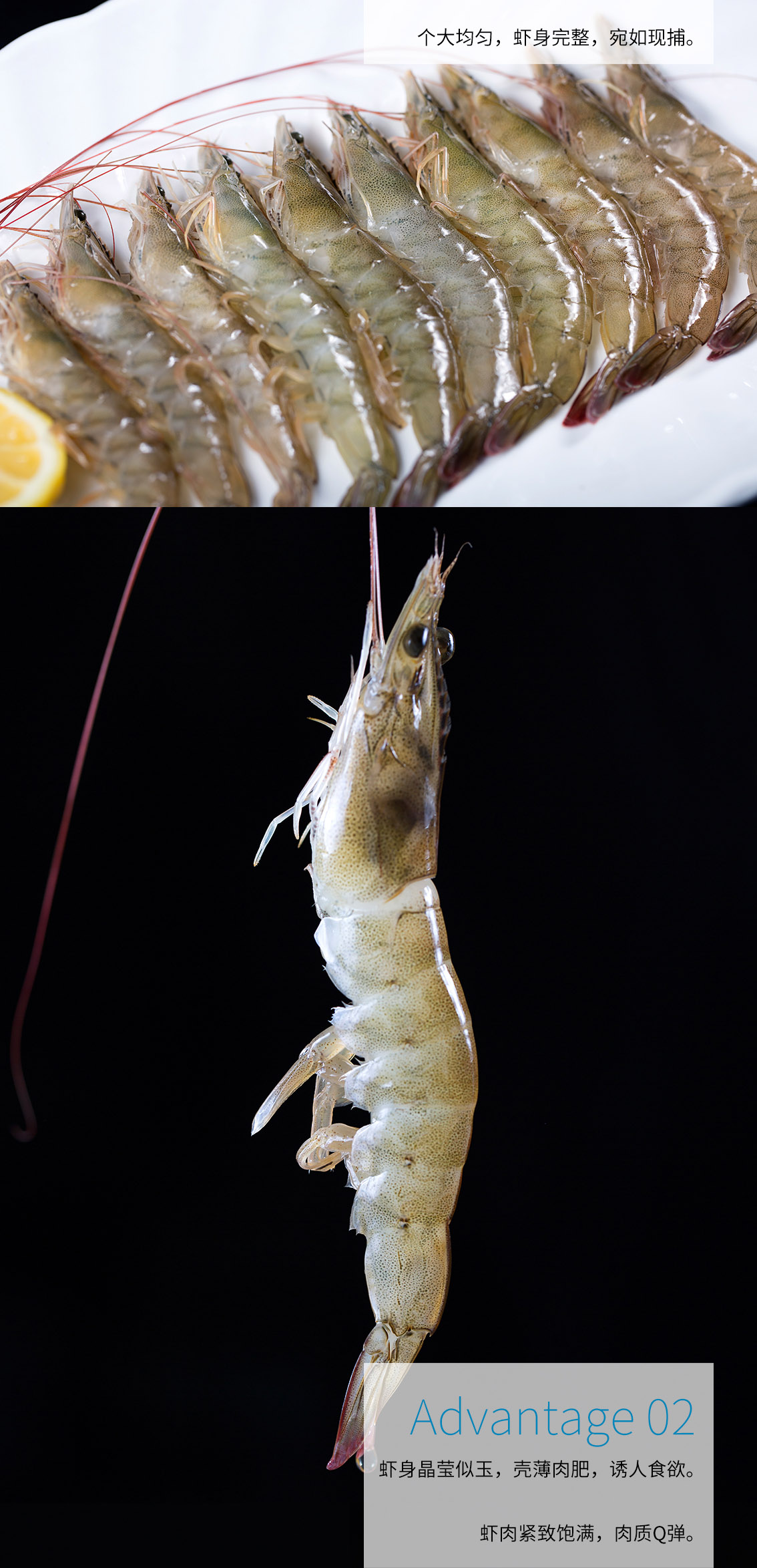 中华特色南通馆仙缘海鲜南美白对虾450g2540头斤盒装新鲜速递