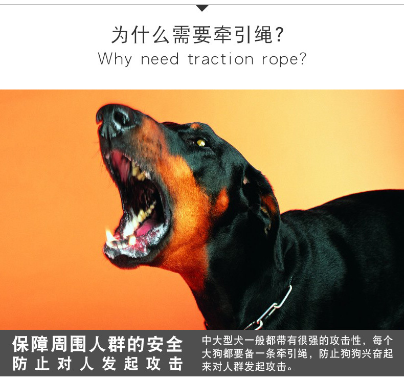 狗狗牵引绳狗狗胸背带狗绳大型小型犬宠物项圈遛狗绳宠物牵引绳八股绳