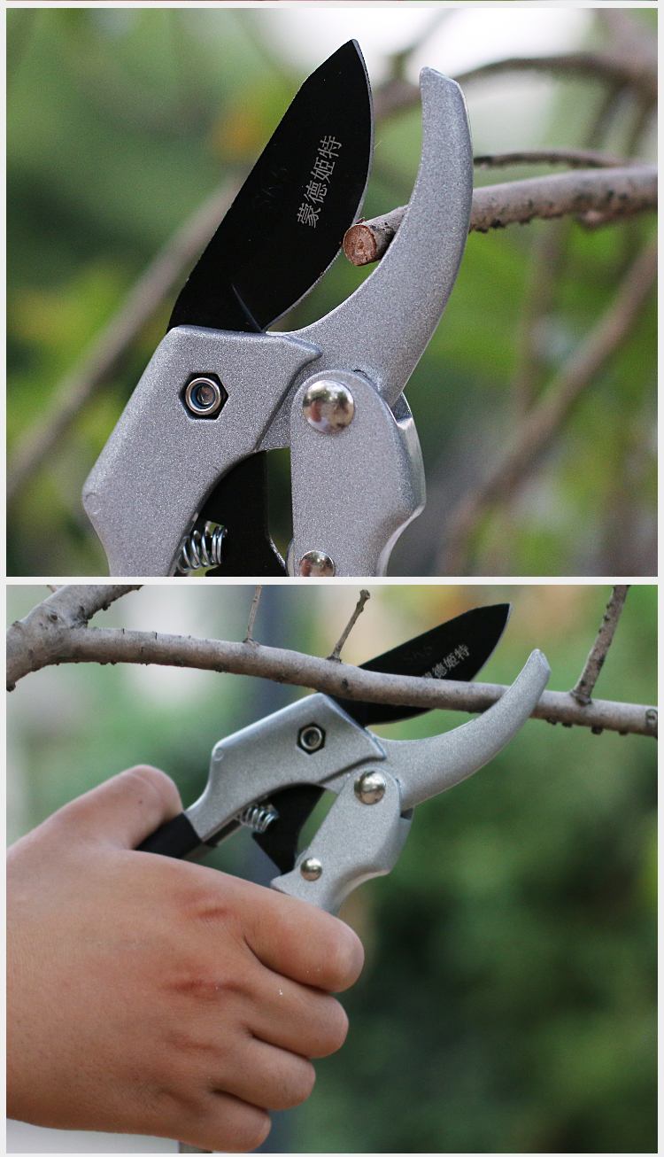 封后园艺省力剪刀园林花木修剪工具修枝剪果树剪刀整枝剪园艺剪枝树枝