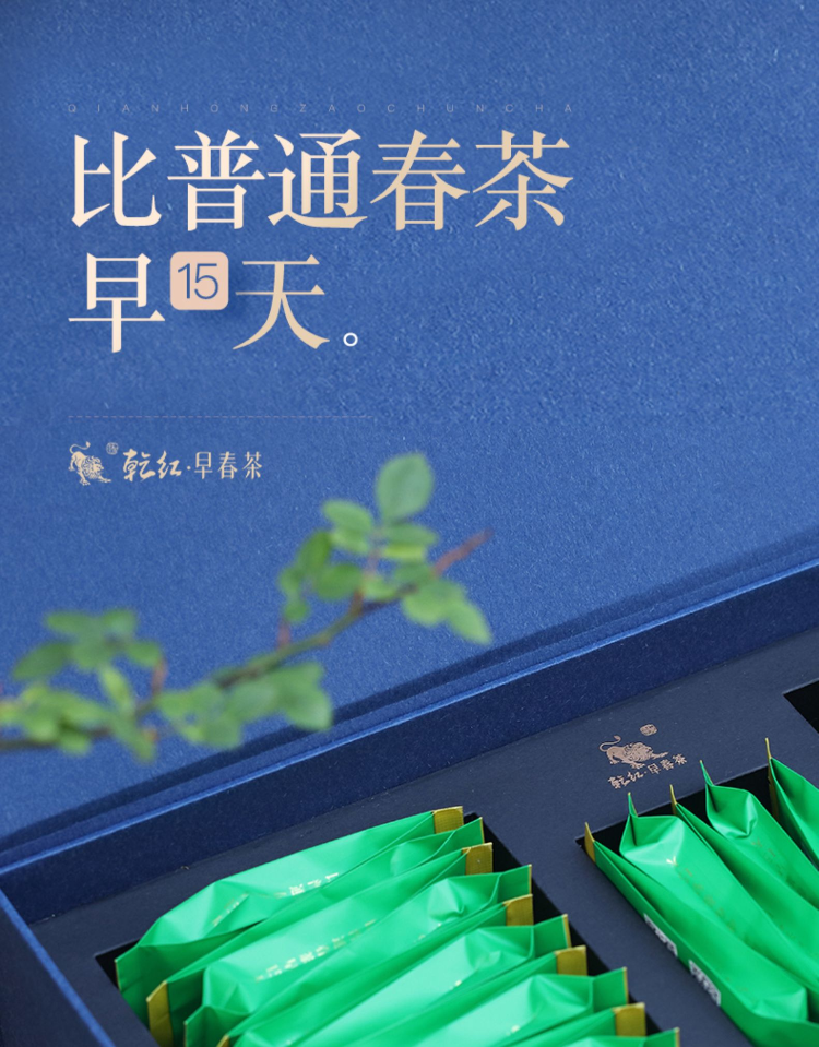 红宜兴烘青绿茶明前头采阳羡雪芽早春1高档礼盒100g【价格 图片 品牌
