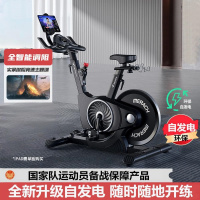 麦瑞克MERACH自发电直立式动感单车150kg大承重燃脂健身器材MR-S12