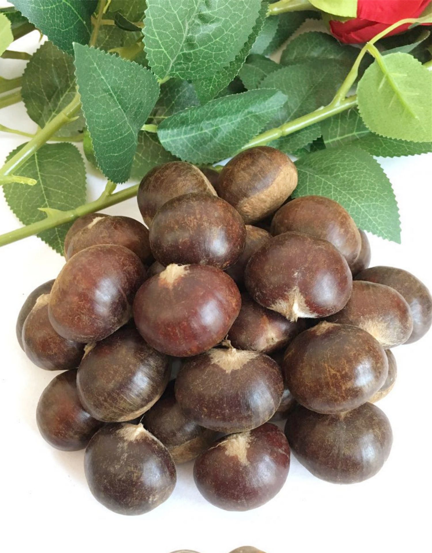 板栗兼具南北栗子的特点,品种主要有早栗桂花香羊毛栗油栗等8江苏邵店