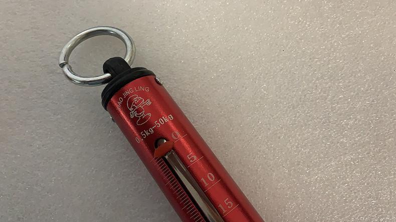 30kg50kg弹簧秤勾秤便携手提称老式计量称买菜秤机械弹簧称钩称 30kg