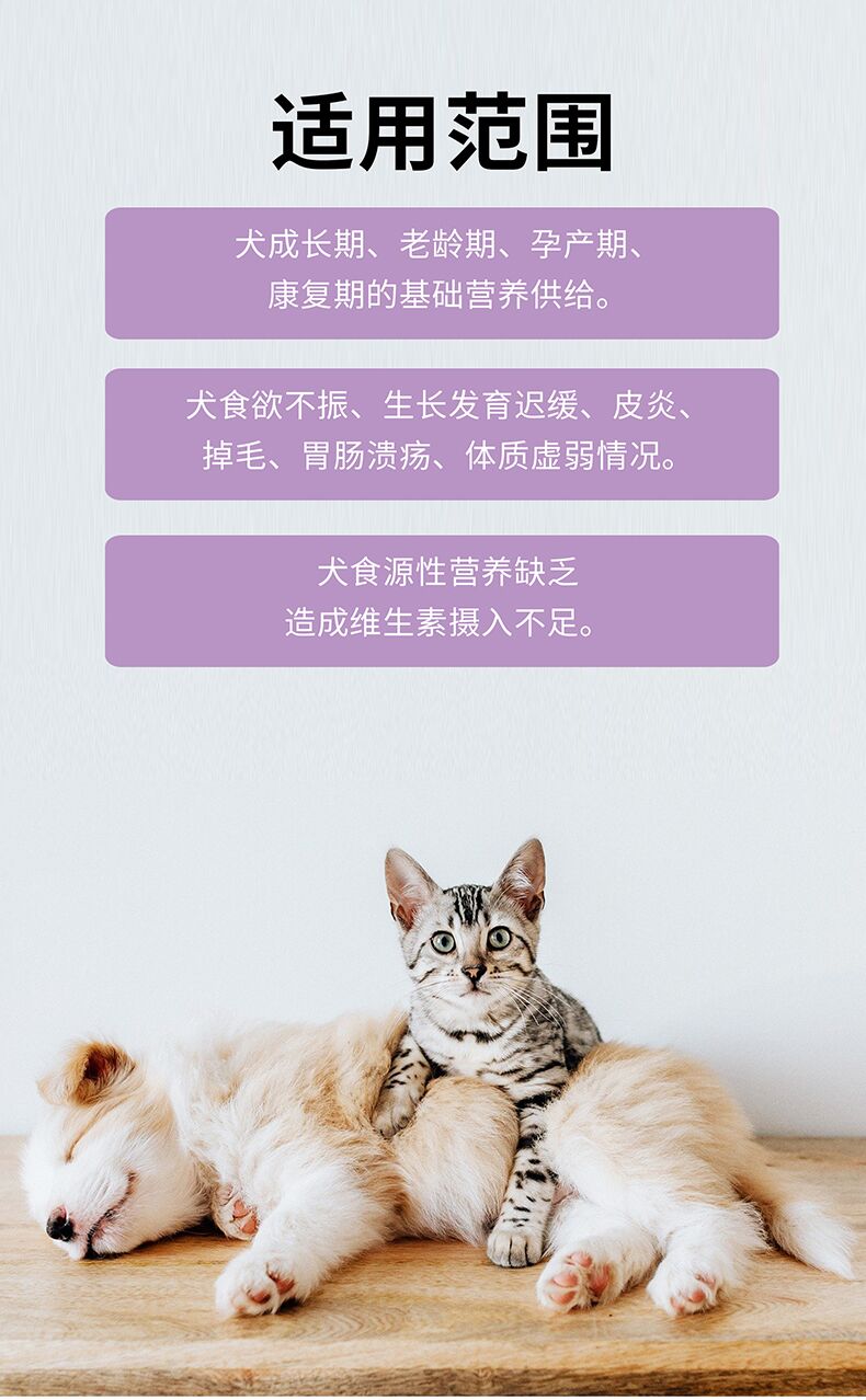 红狗(reddog)宠物保健 红狗reddog 维生素b族片 维力系列猫用复合维b