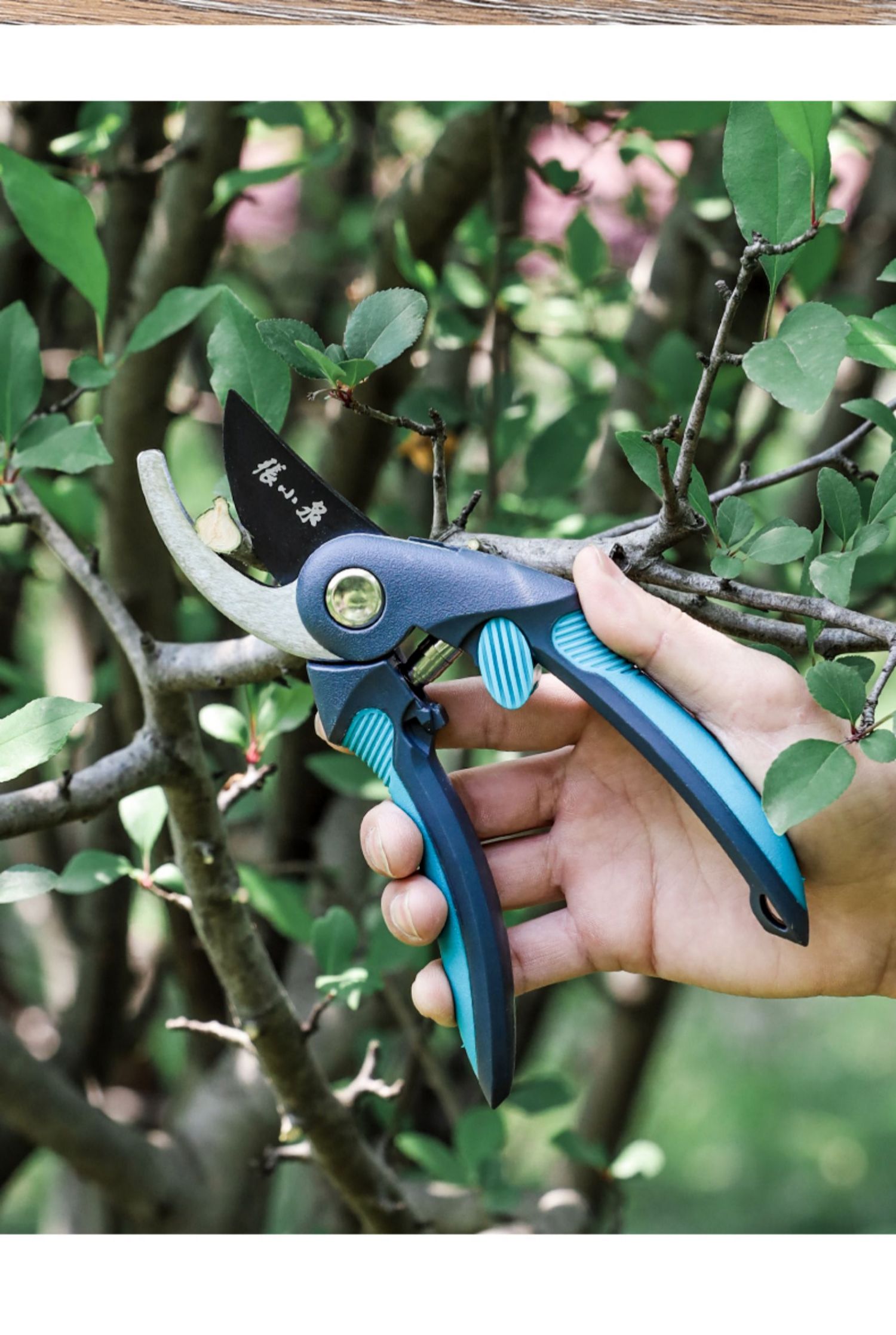 敬平(jing ping)刀,剪其他 jing ping剪枝果树修枝剪刀园艺修剪树枝