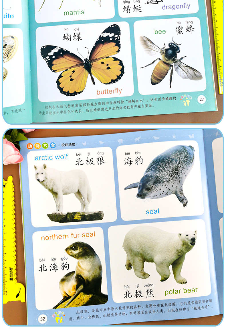 小衔接早教书快速认识动物宝宝看图识物早教学前启蒙幼儿早教书左右脑