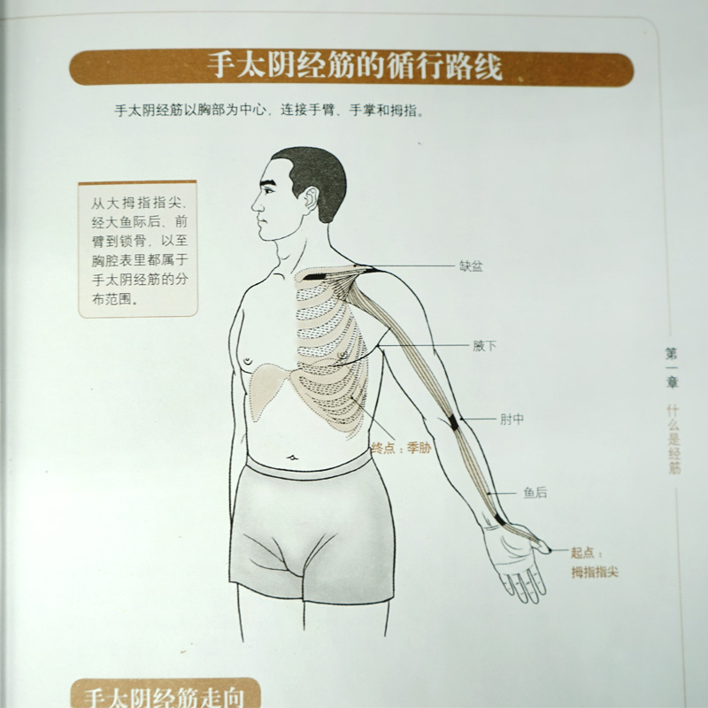 3册图解易筋经洗髓经十二经络调筋术人体经络使用手册易筋经养生达摩