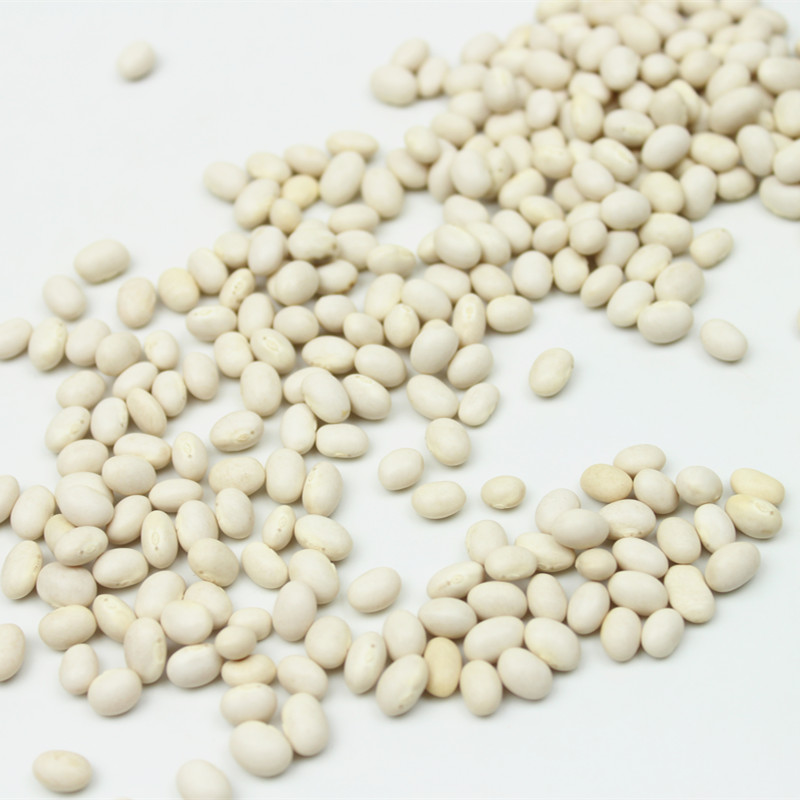 厨师杂粮 珍珠豆2500g 云南农家小白芸豆小白豆炖菜煲汤豆类杂粮粗粮