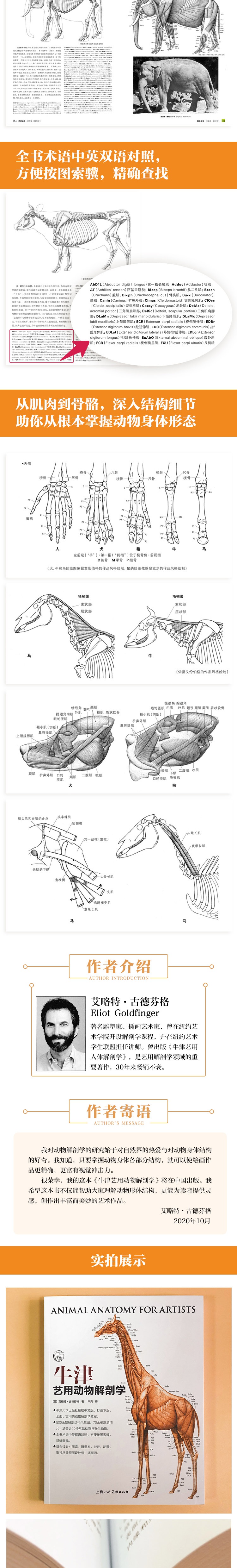 《牛津藝用動物解剖學 中英對照版500餘幅常見動物解剖結構示意圖動物