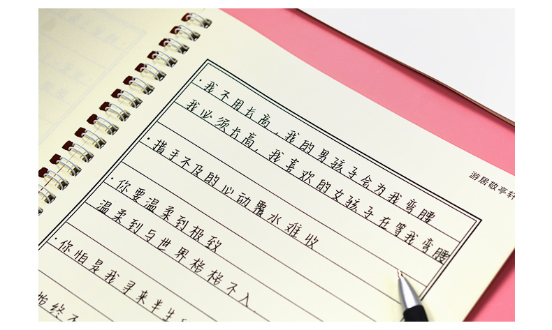 昭颜手写字体练字帖贴本板女生字体漂亮行楷行书临摹神器男成年人网红
