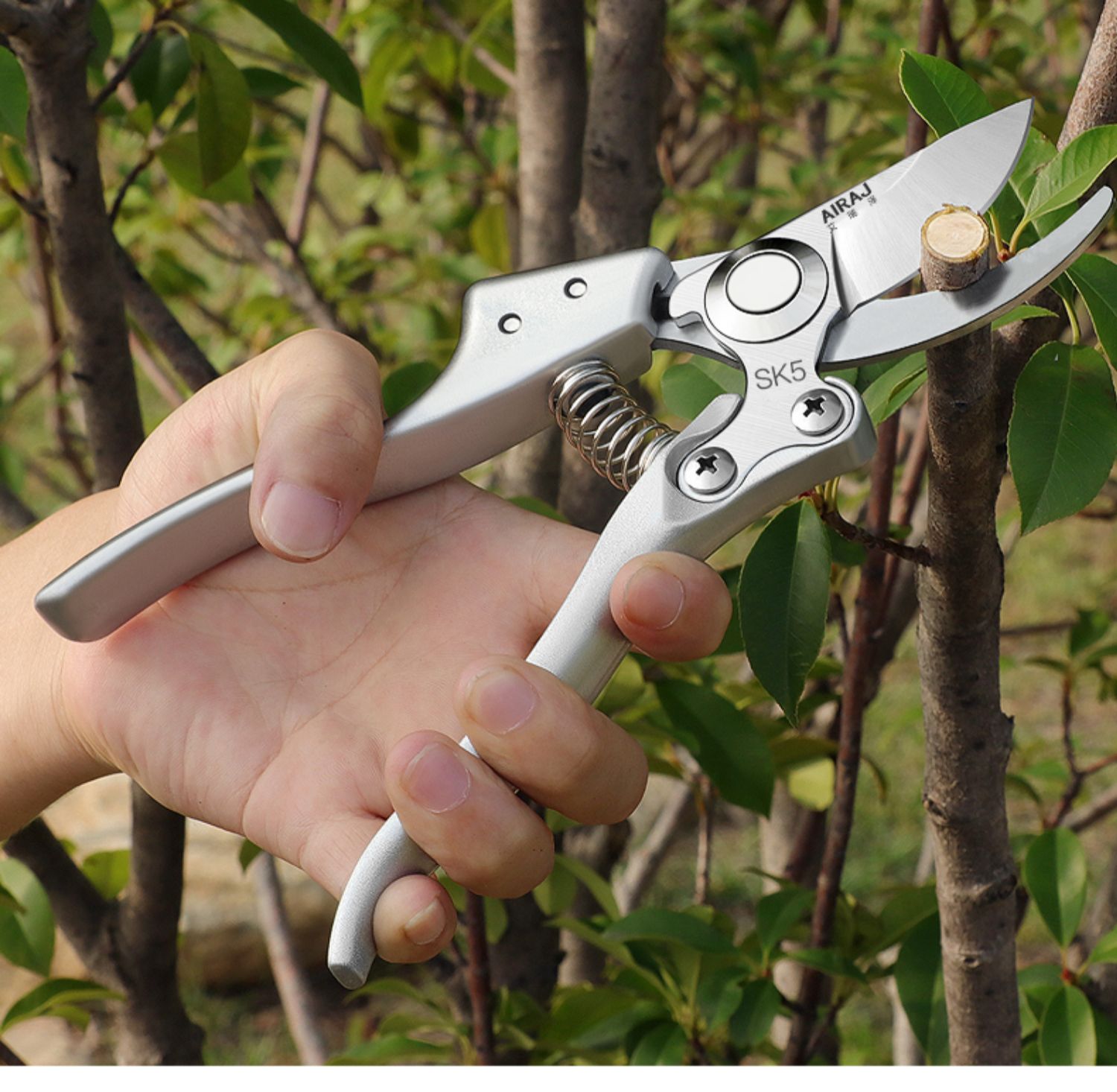 jing ping花剪园林园艺大剪刀修枝剪树枝剪刀剪子果树摘菜茶叶水果