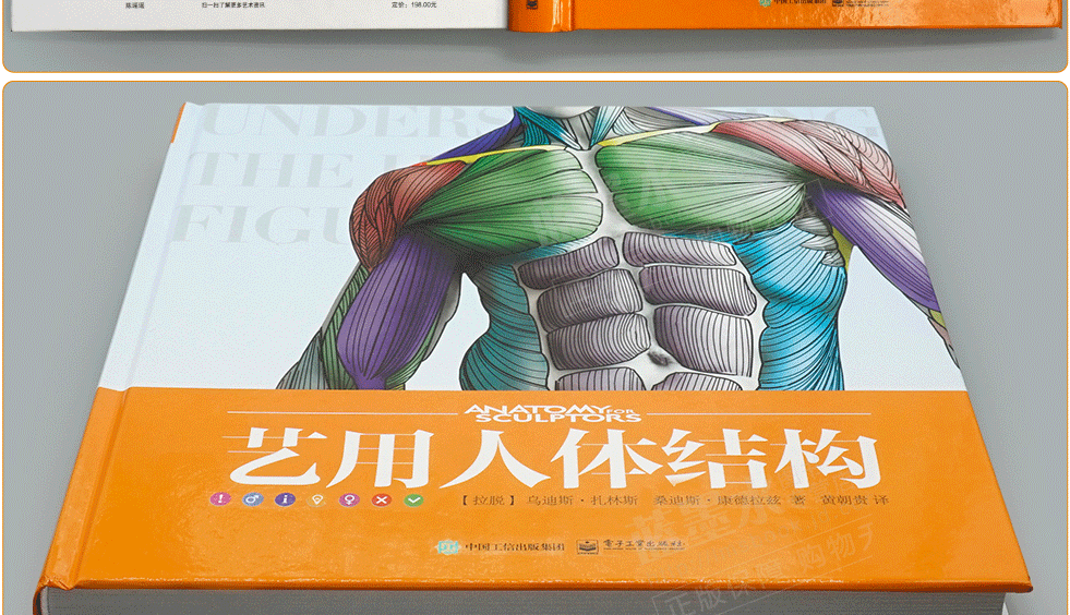 惠典正版艺用人体结构 精装版 黄朝贵 艺用人体结构解剖学 人体骨骼