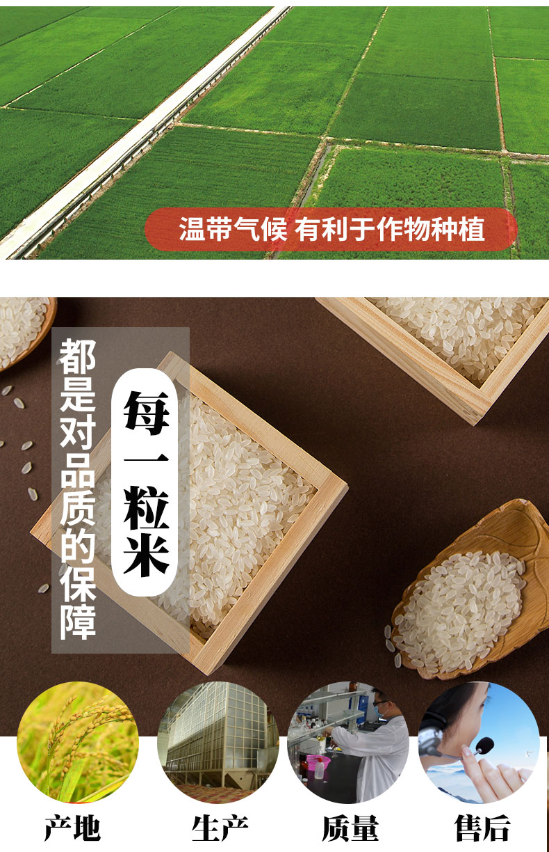 都利乾道嘉五常香稻米10kg公斤袋黑龙江新大米20斤五常长粒香