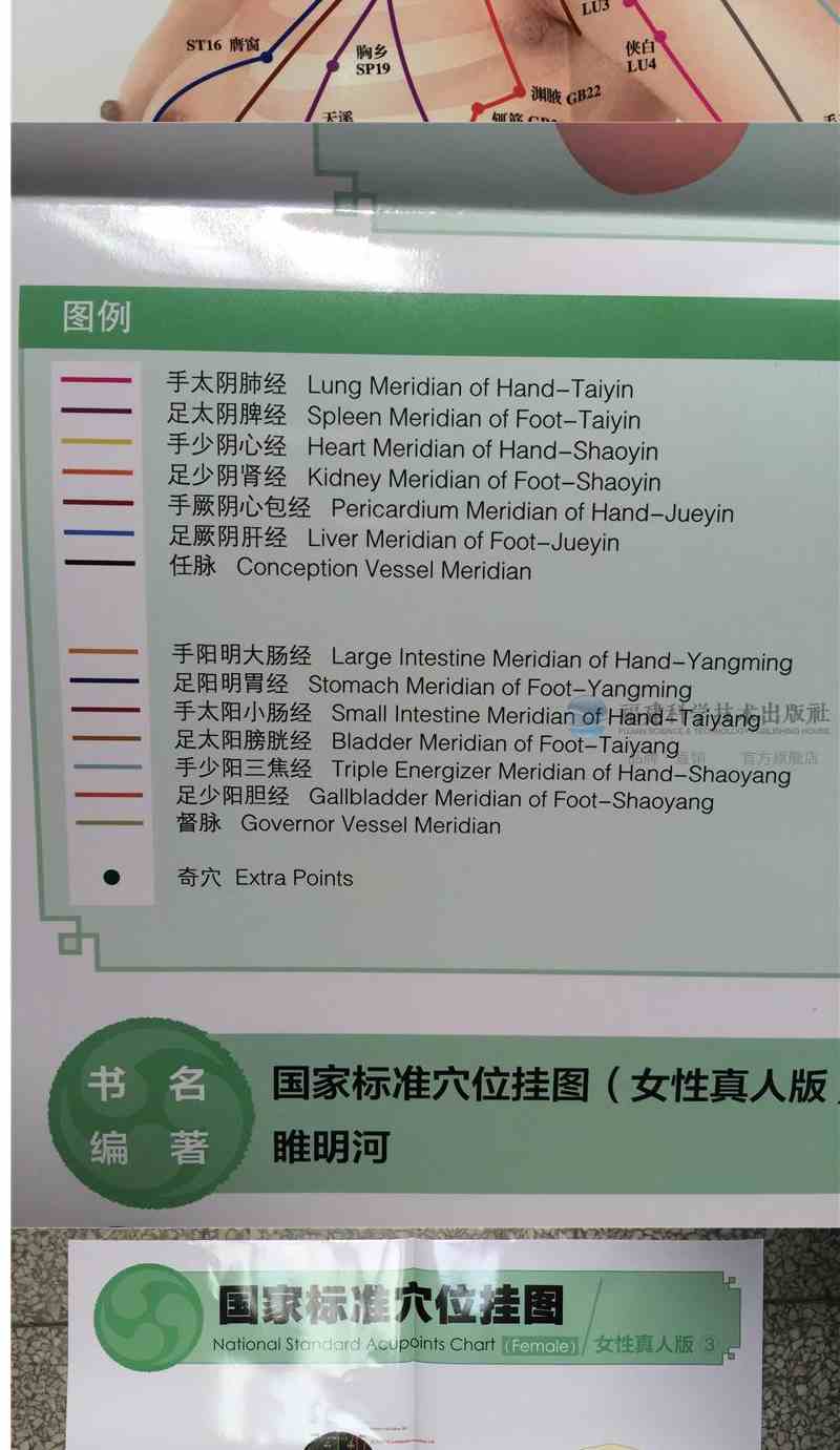 国家标准穴位挂图女性真人版中医养生书籍经络穴位入门教程书籍家庭