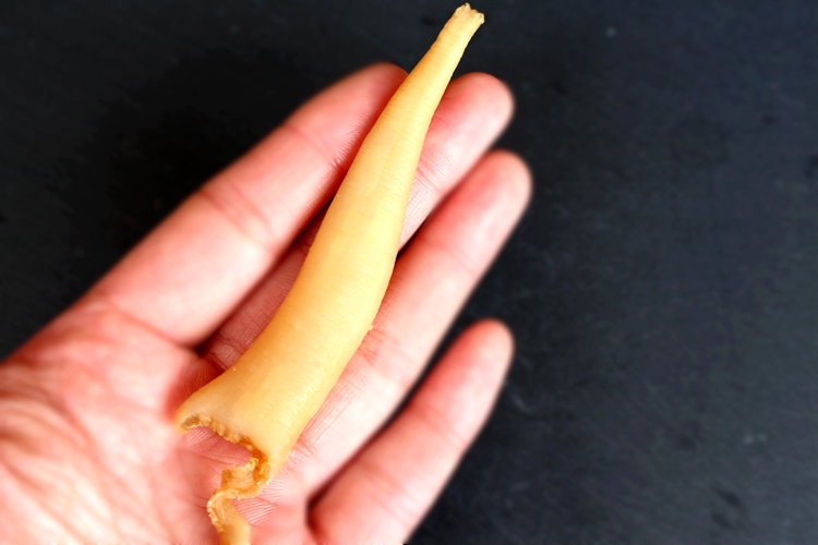 个人店其他品牌生活家居 野生象拨蚌干500克淡晒海笋贝象拔蚌象牙蚌