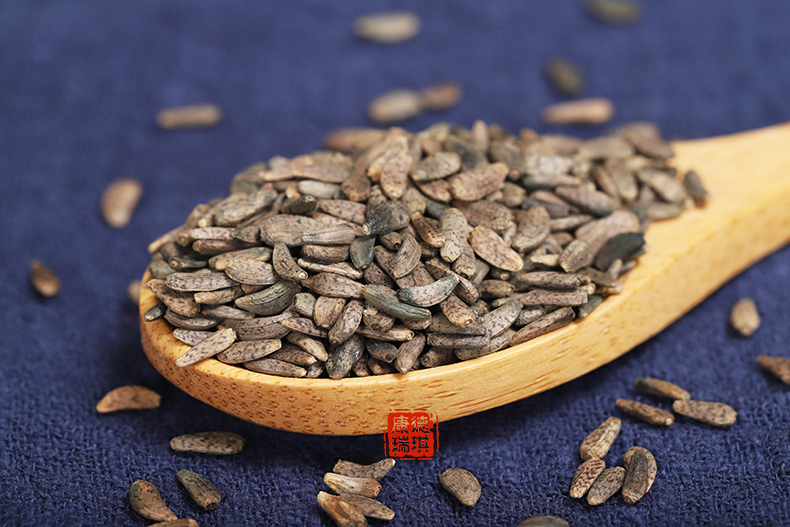 大力子500克牛蒡子牛子恶实鼠粘子