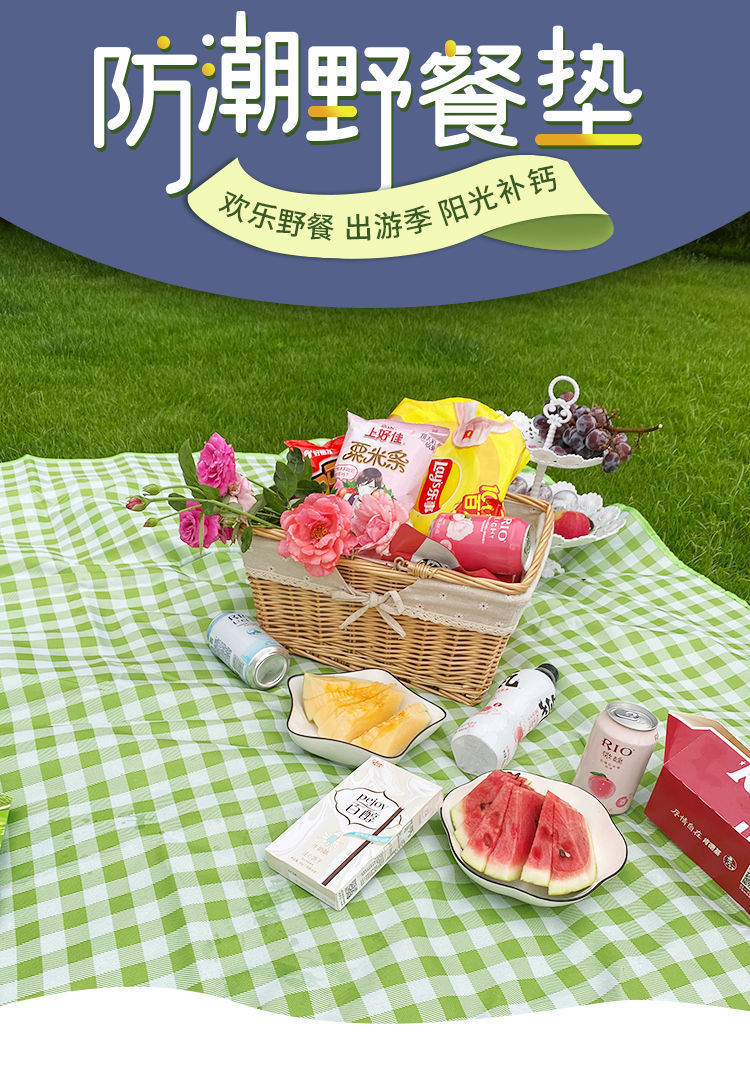 野餐垫户外便携防潮垫春游郊外野餐垫防水加厚加大野餐布ins风0815米