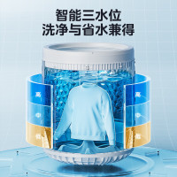 美的(Midea)波轮洗衣机全自动家用 MB80V36T 8公斤 免清洗 宿舍租房 随心洗 以旧换新 家电国家补贴