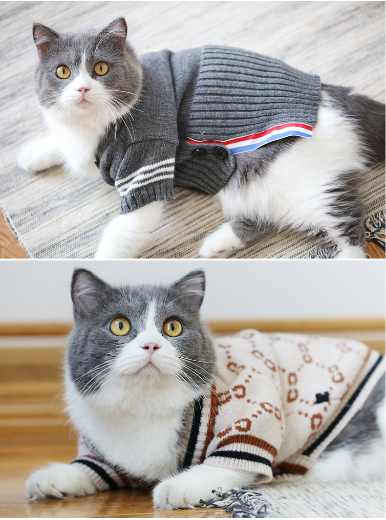 宠物猫咪毛衣小猫衣服秋冬英短蓝白美短可爱亲子装毛衣