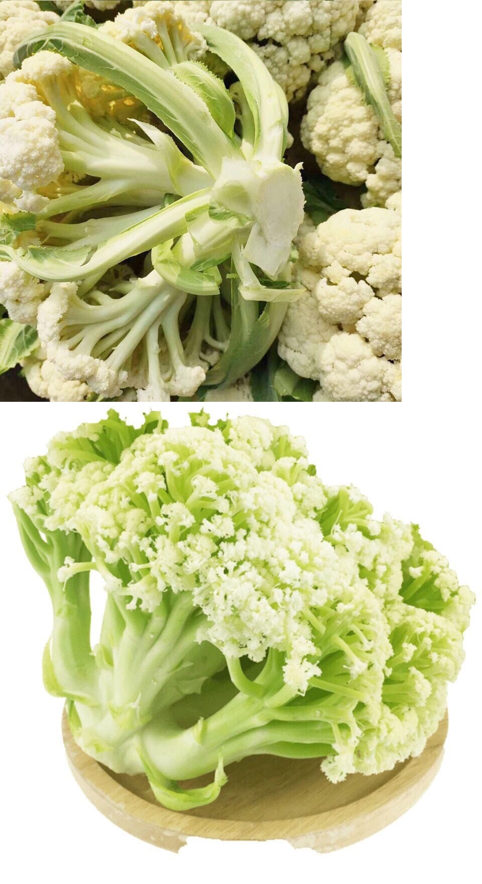 湖北枝江：蔬菜工业助农增收