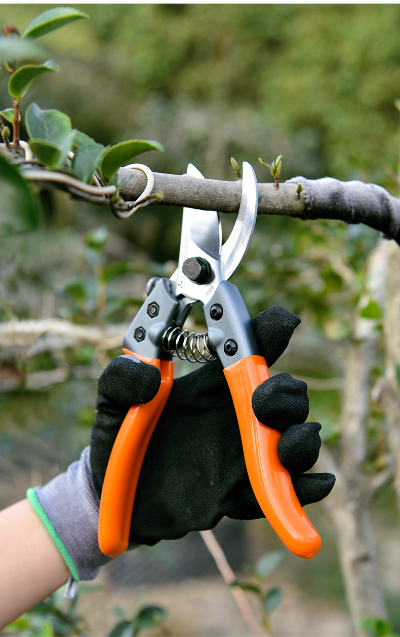 园艺剪刀园林工具粗枝园艺修枝剪刀修枝剪花木剪刀修剪树枝果树剪jing