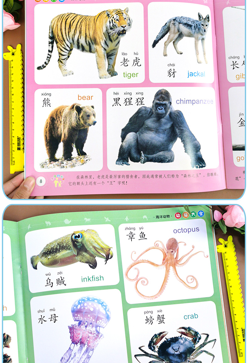 物大全幼小衔接早教书快速认识动物宝宝看图识物早教学前启蒙幼儿早教