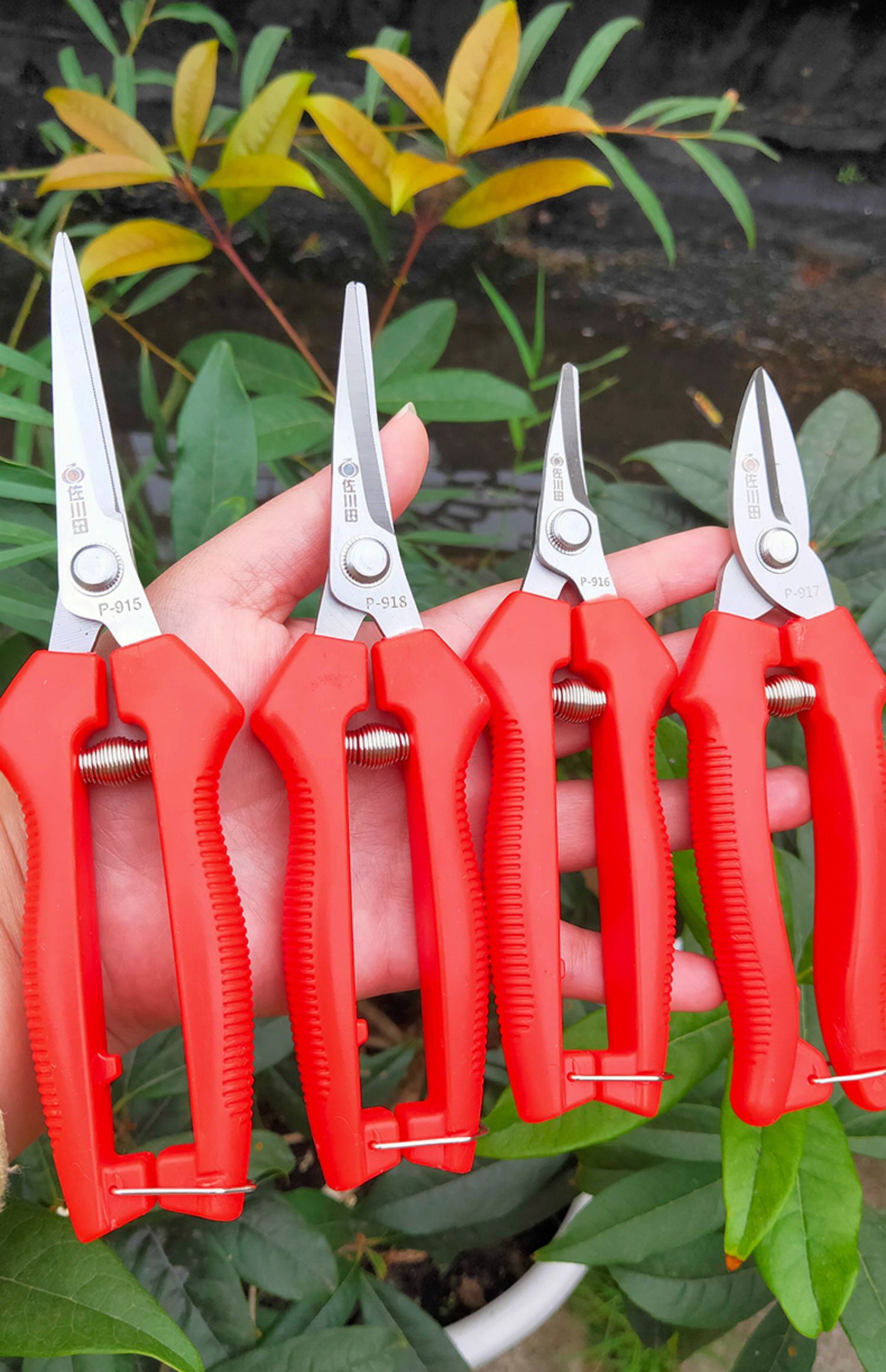 jing ping采果剪葡萄稀果剪疏花剪修花枝剪柑橘桔子蔬果采摘摘果剪刀