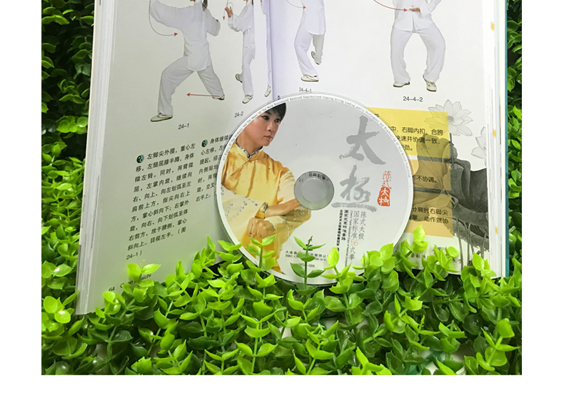 正版陈氏陈式太极国家标准56式太极拳视频教程教材书dvd光盘碟片