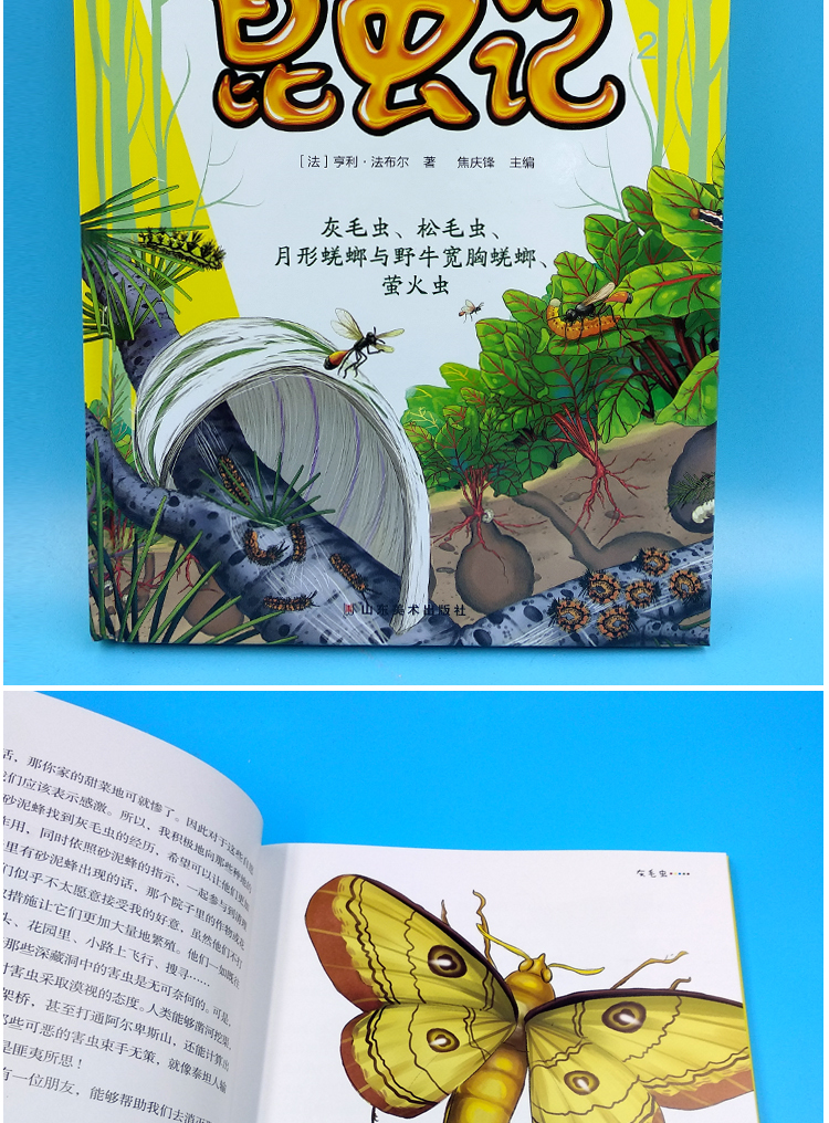 [颜系图书][精装典藏]正版 法布尔昆虫记 第二册 灰毛虫松毛虫萤火虫