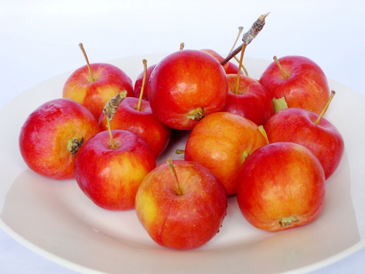 xj东北沙果新鲜海棠果水果花红果小苹果可开发票25kg