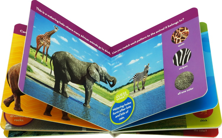 英文原版绘本 美国国家地理 national geographic kids look and