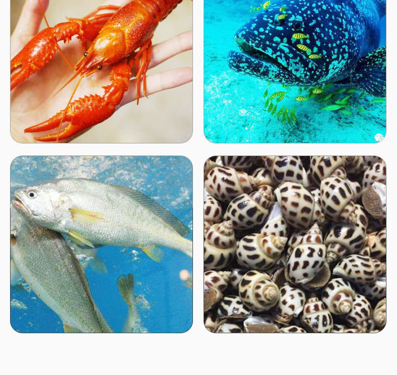 《弧菌克星冻干粉水产养殖鱼塘小龙虾蟹塘噬菌肽弧菌杀有害菌池塘用