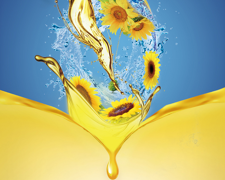 金龙鱼阳光葵花籽油4L