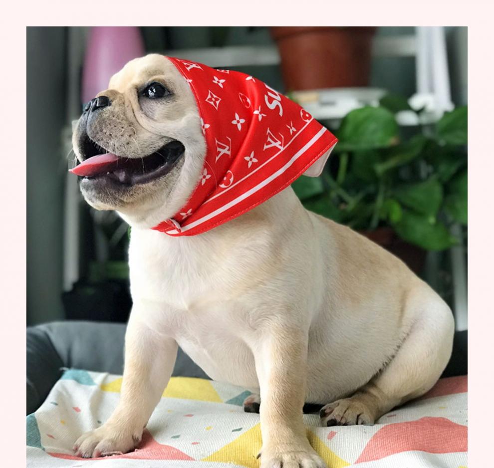 宠物狗狗口水巾三角巾围巾猫咪中小型犬法斗金毛泰迪围脖