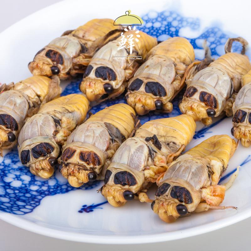 新鲜白蝉100只嫩蝉白知了猴鲜活