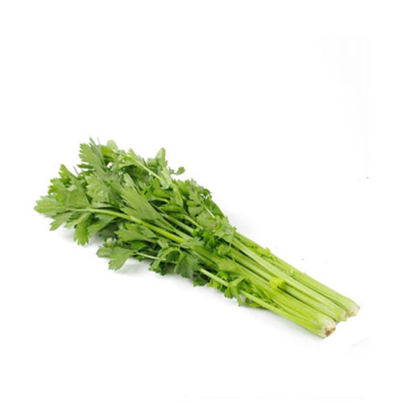 玻璃脆芹菜种子实芹菜种籽春季四季盆栽阳台青菜种籽大田蔬菜籽