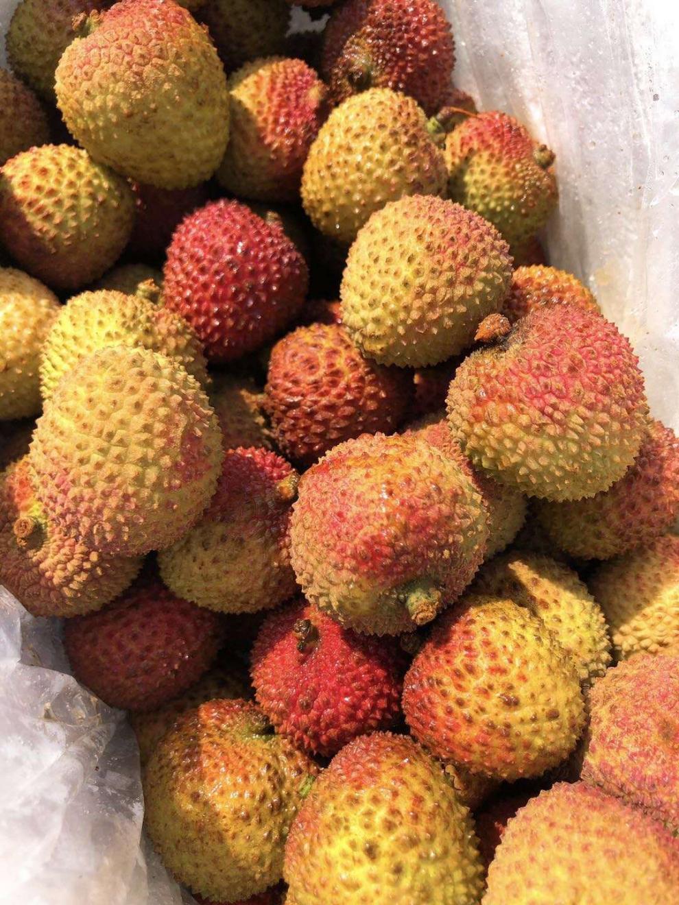 海南桂花香荔枝新鲜荔枝0